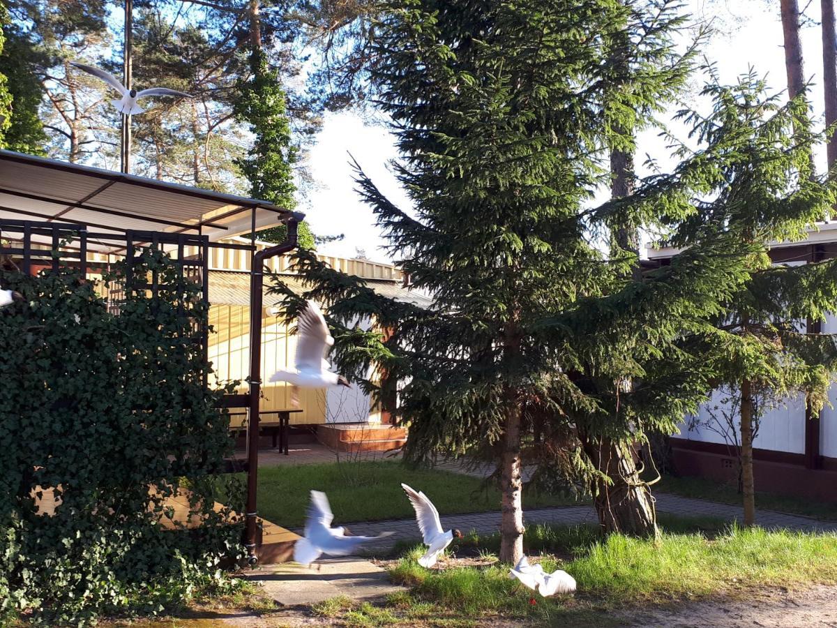 Villa Domki Blisko Morza à Niechorze Extérieur photo